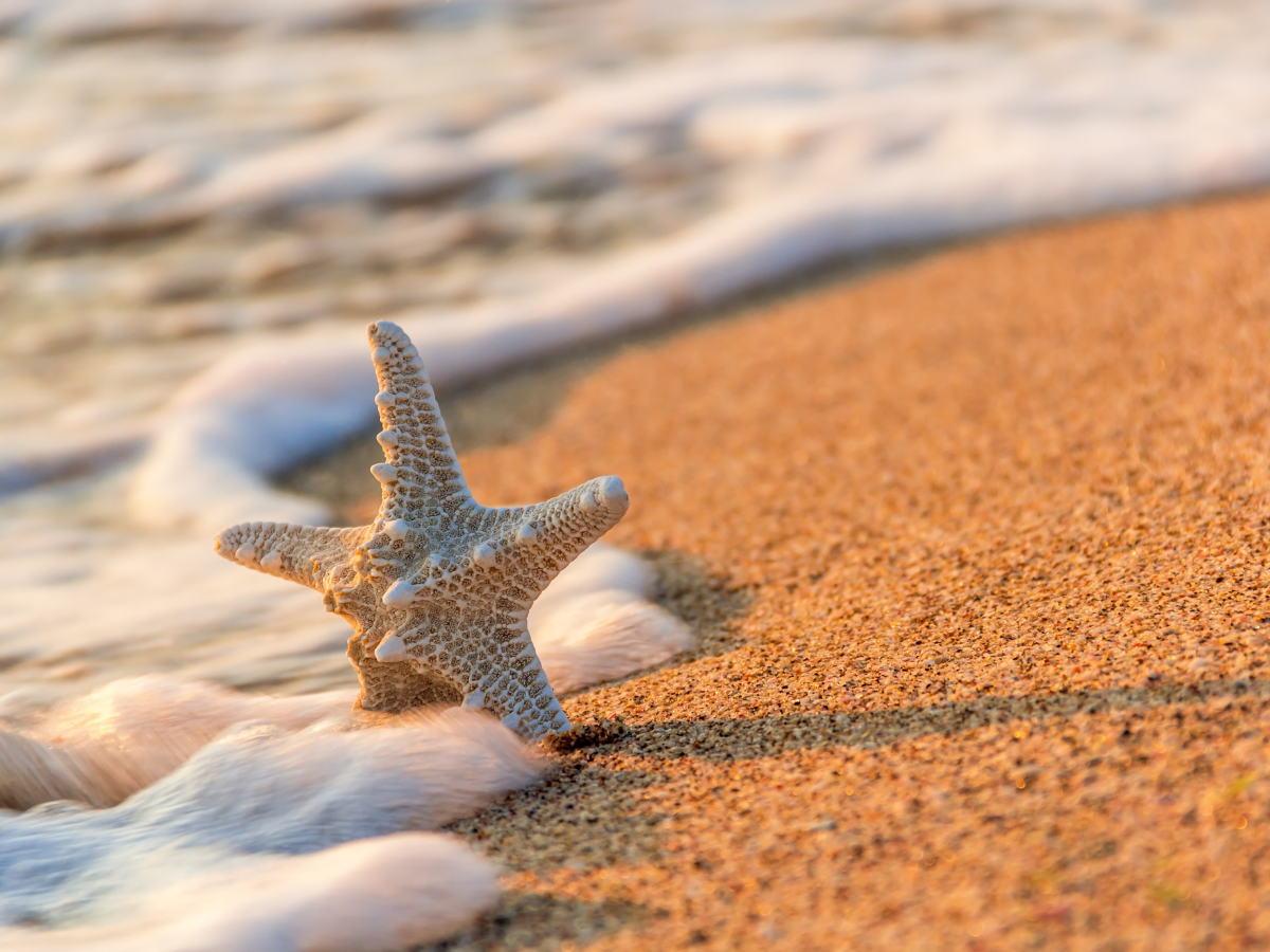 Creative inspiration by the beach